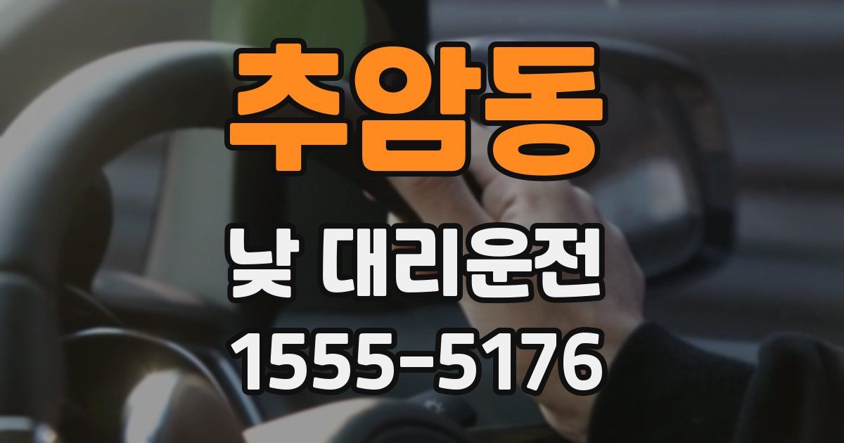 추암동 낮 대리운전