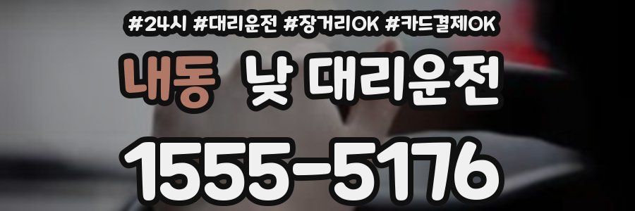 내동 낮 대리운전