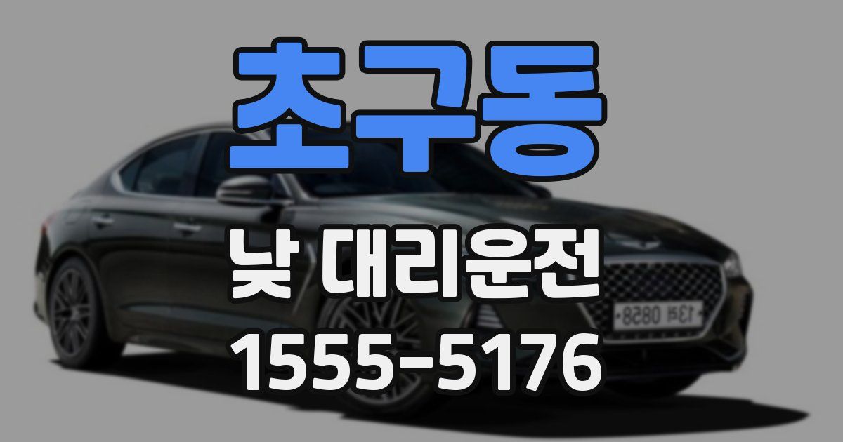 초구동 낮 대리운전