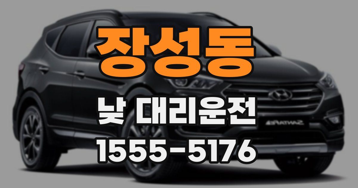 장성동 낮 대리운전
