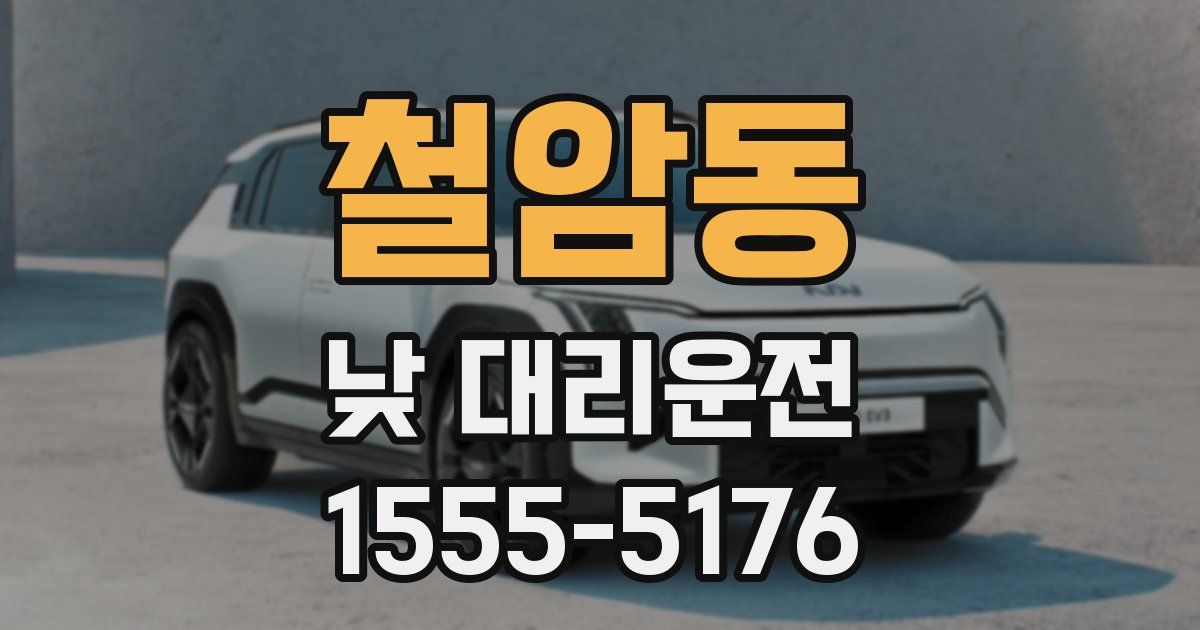 철암동 낮 대리운전