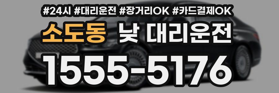소도동 낮 대리운전