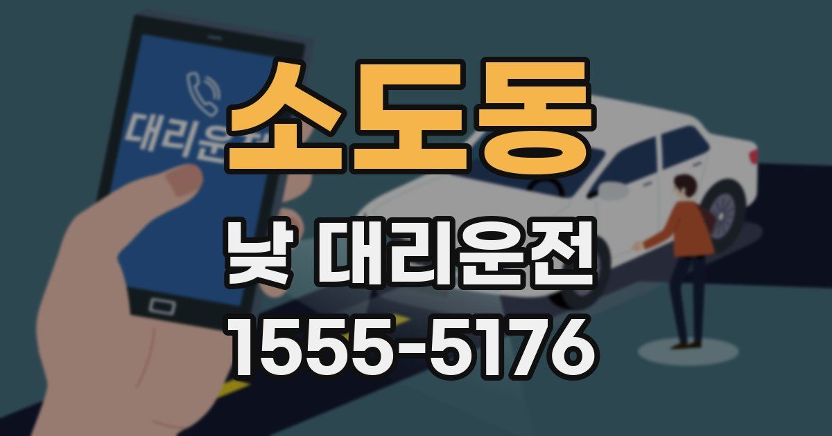 소도동 낮 대리운전