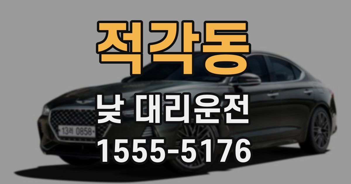 적각동 낮 대리운전