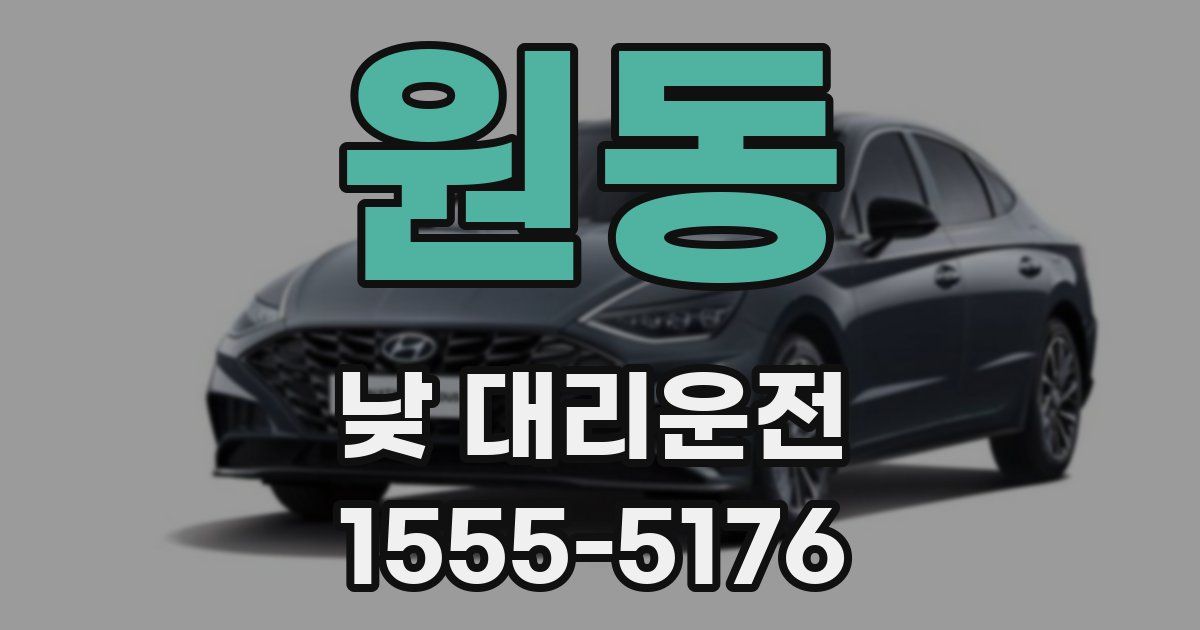원동 낮 대리운전