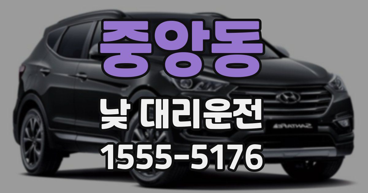 중앙동 낮 대리운전