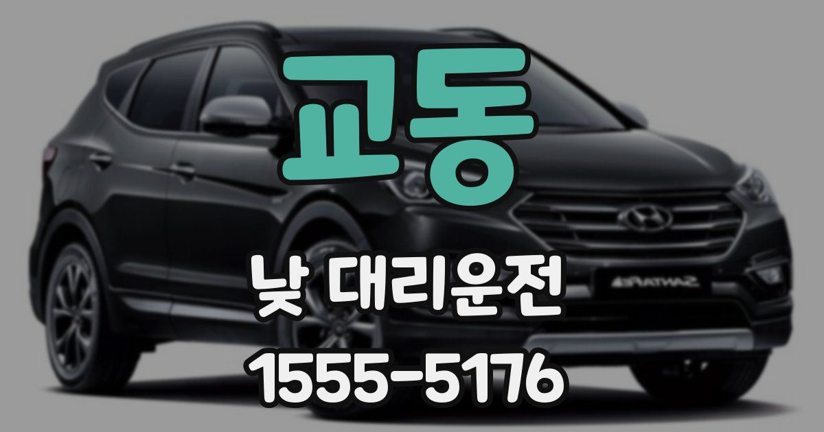 교동 낮 대리운전