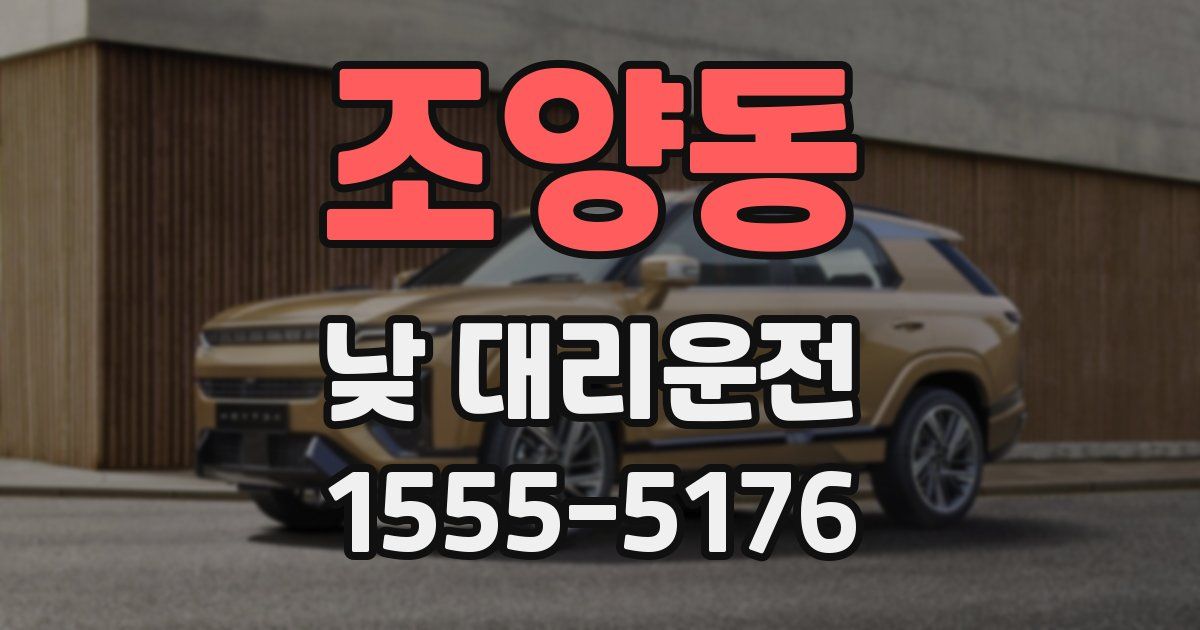 조양동 낮 대리운전