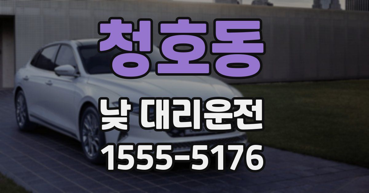 청호동 낮 대리운전