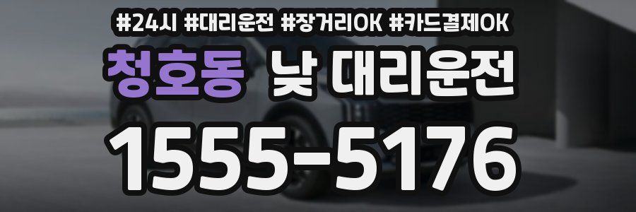 청호동 낮 대리운전