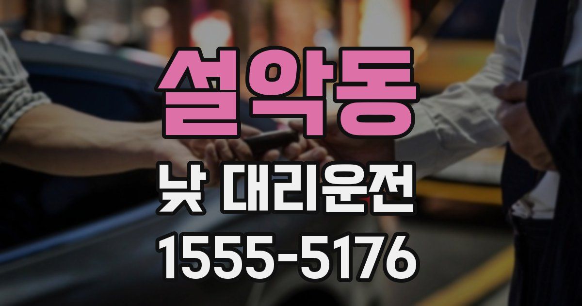 설악동 낮 대리운전