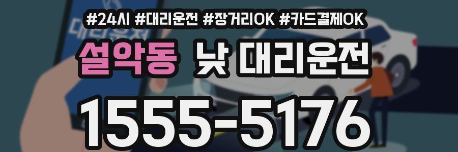 설악동 낮 대리운전