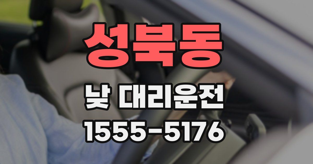 성북동 낮 대리운전