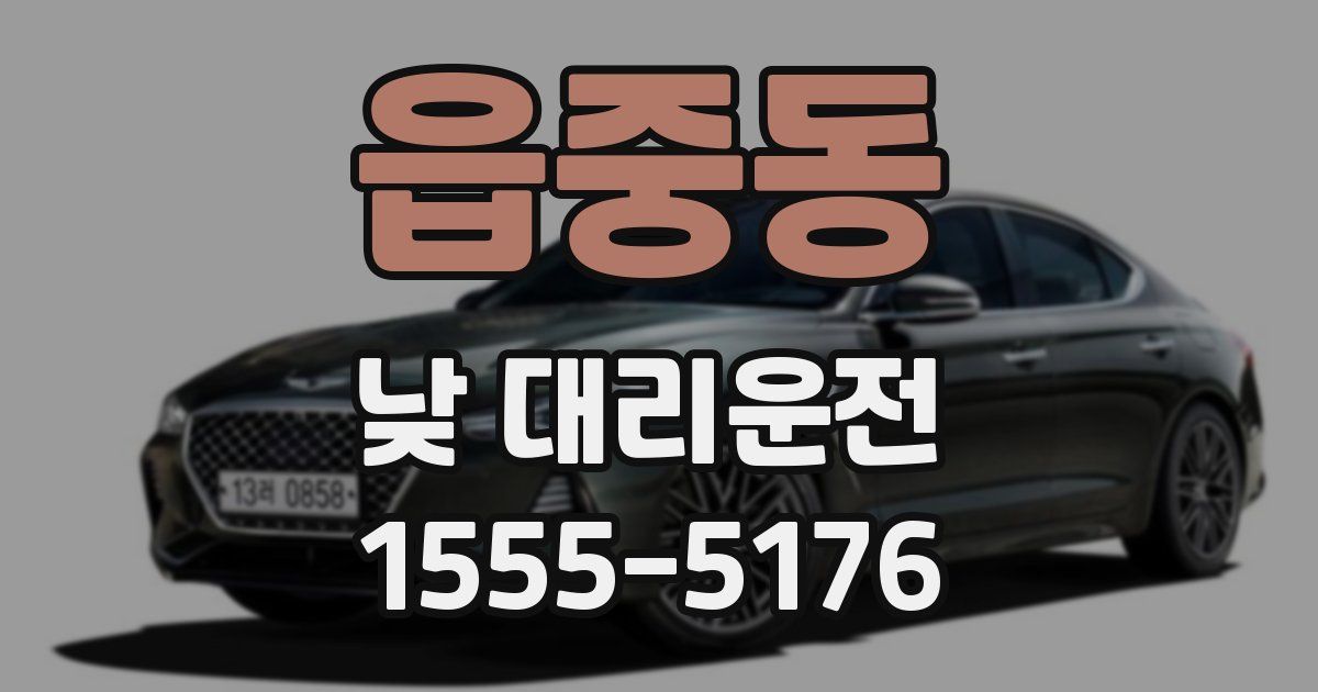 읍중동 낮 대리운전