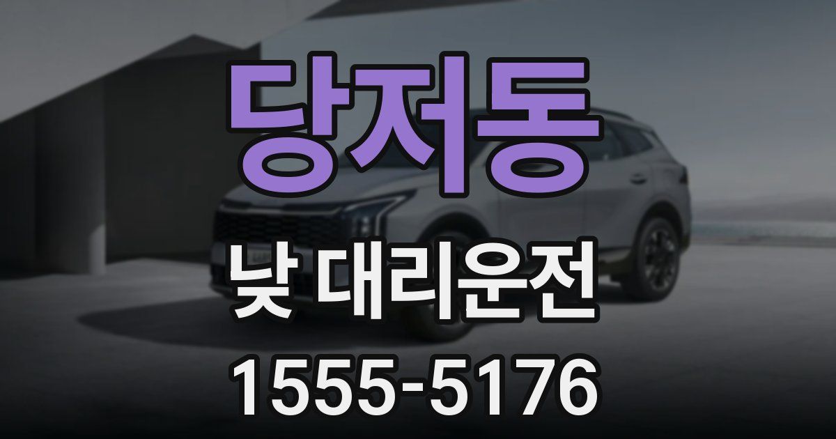 당저동 낮 대리운전