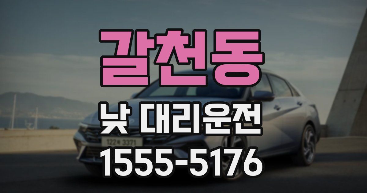 갈천동 낮 대리운전