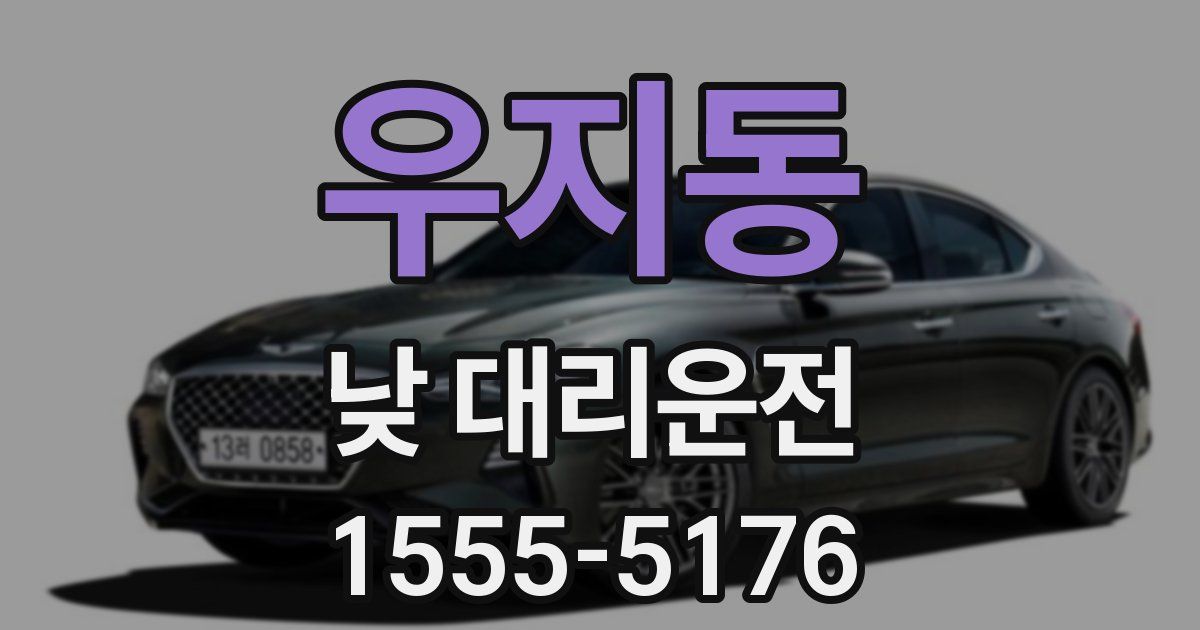우지동 낮 대리운전