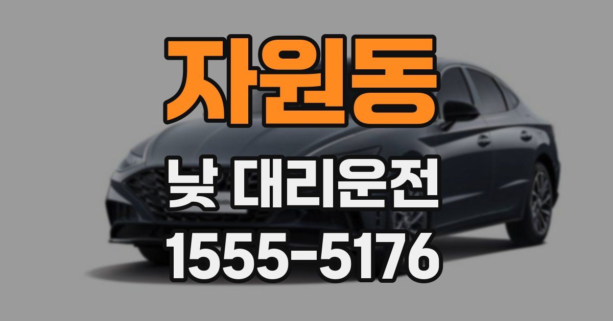 자원동 낮 대리운전