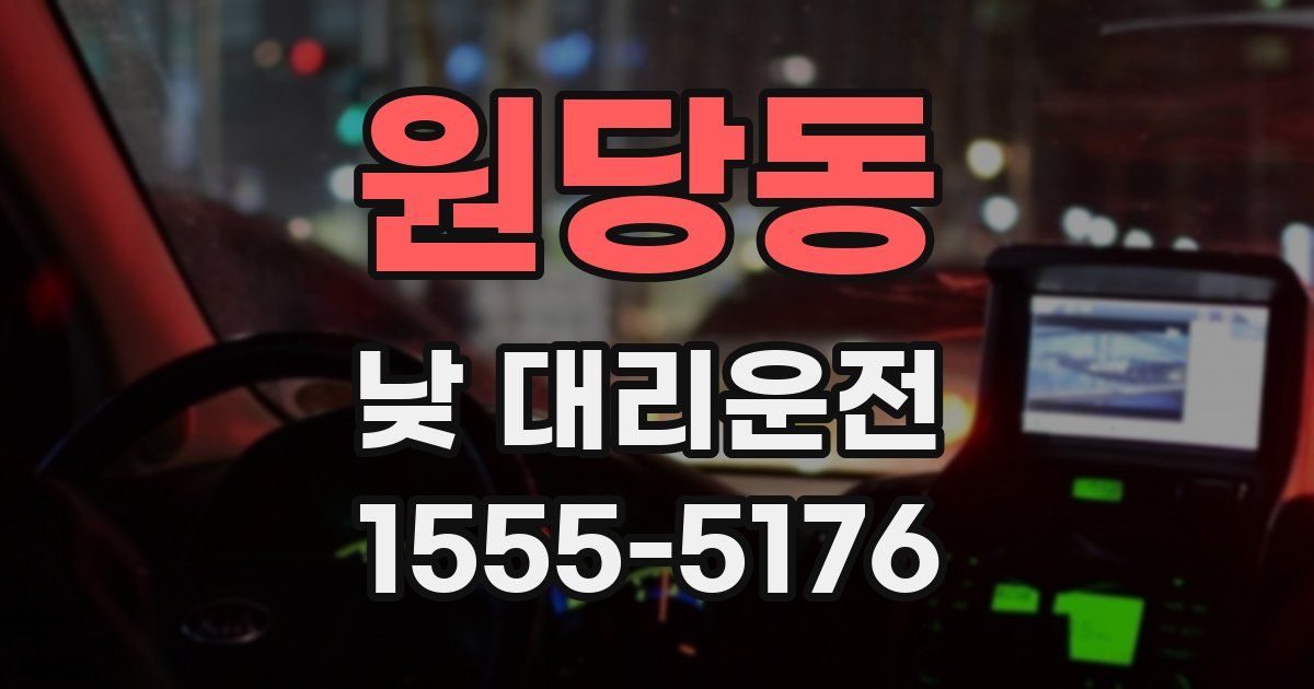 원당동 낮 대리운전