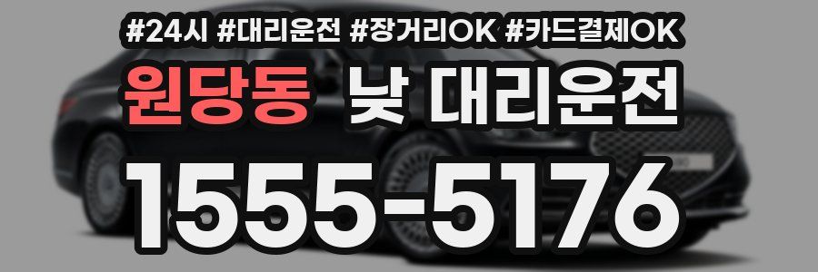 원당동 낮 대리운전