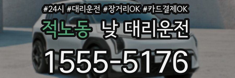 적노동 낮 대리운전