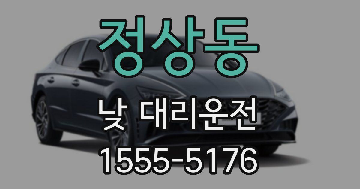 정상동 낮 대리운전
