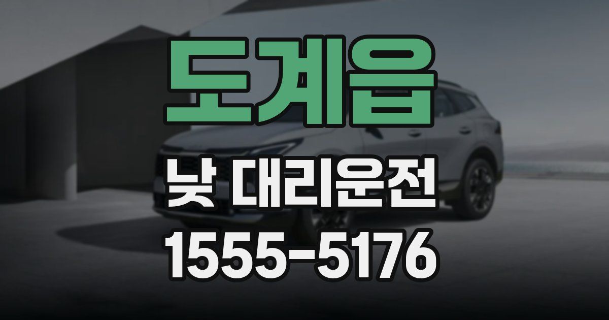 도계읍 낮 대리운전