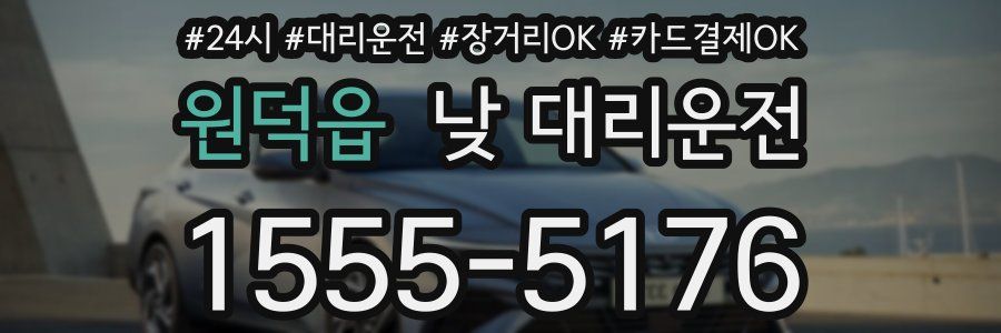 원덕읍 낮 대리운전