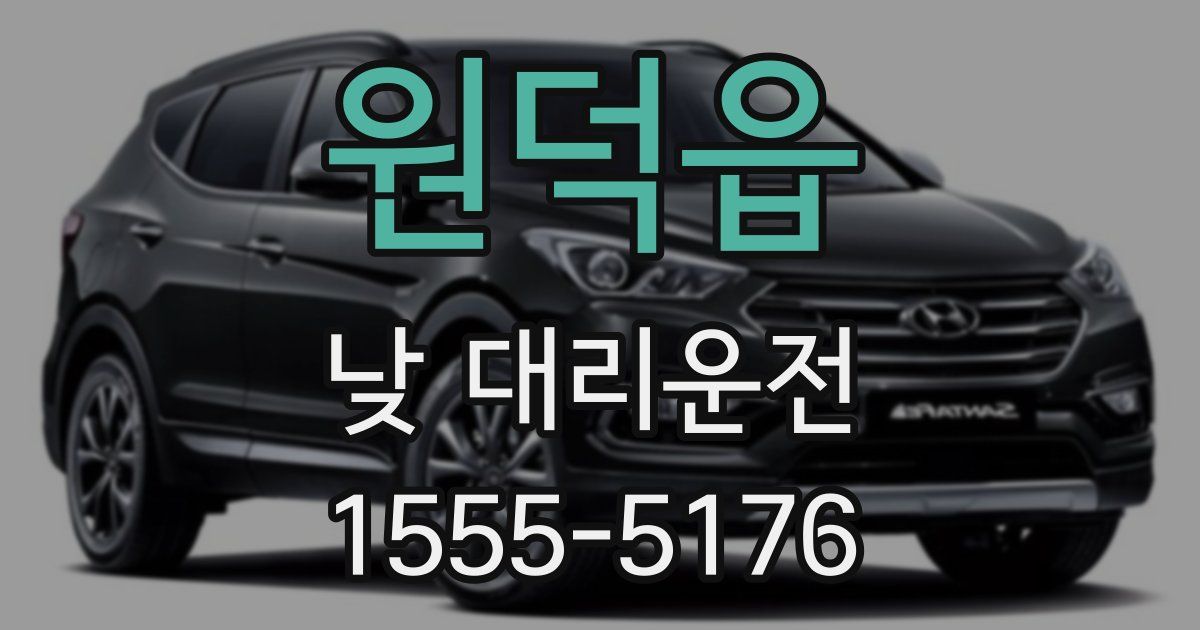 원덕읍 낮 대리운전