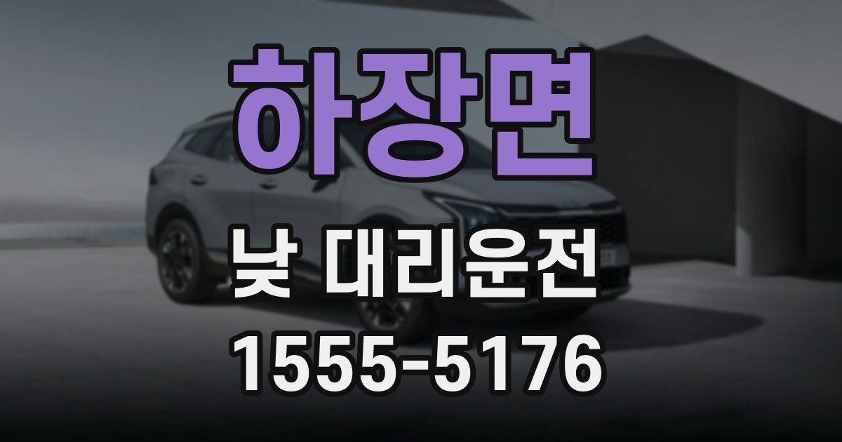 하장면 낮 대리운전