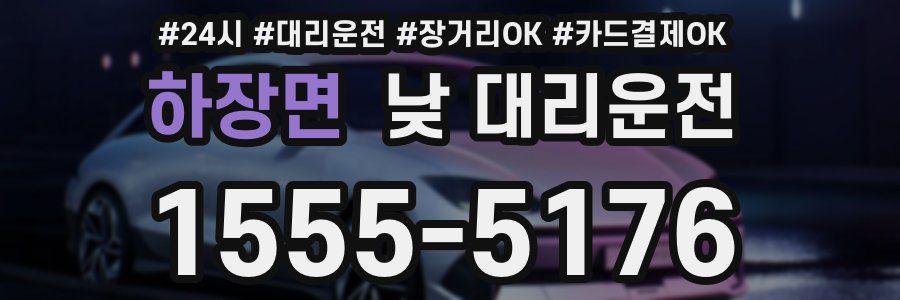 하장면 낮 대리운전