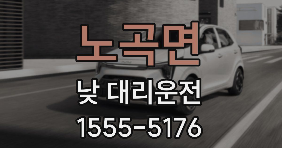 노곡면 낮 대리운전