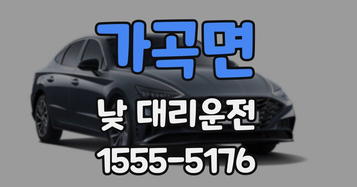 가곡면 낮 대리운전