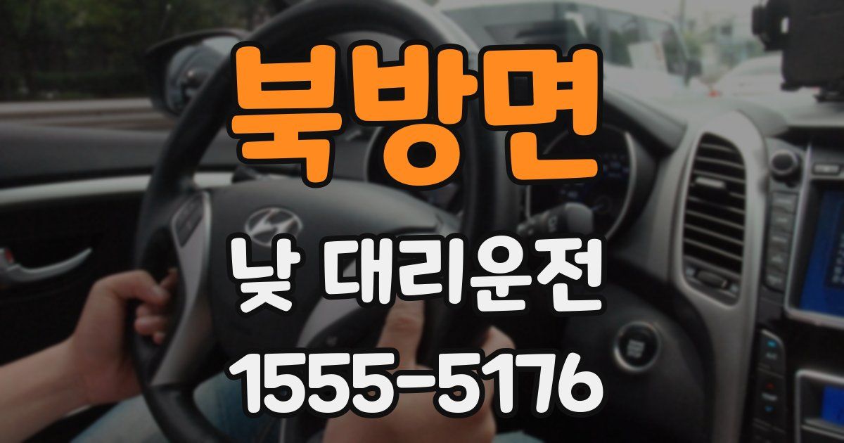 북방면 낮 대리운전