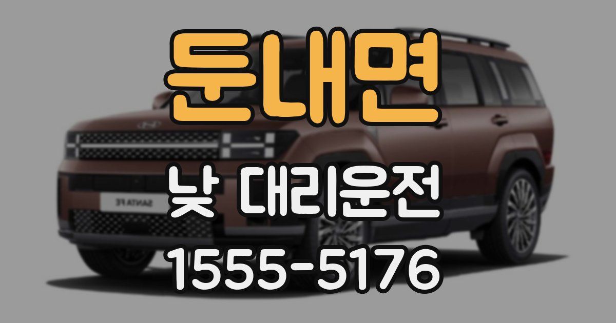 둔내면 낮 대리운전