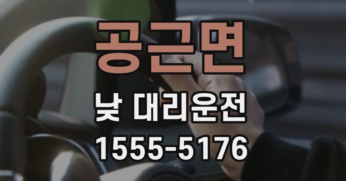 공근면 낮 대리운전