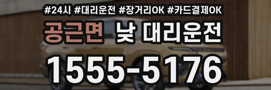 공근면 낮 대리운전