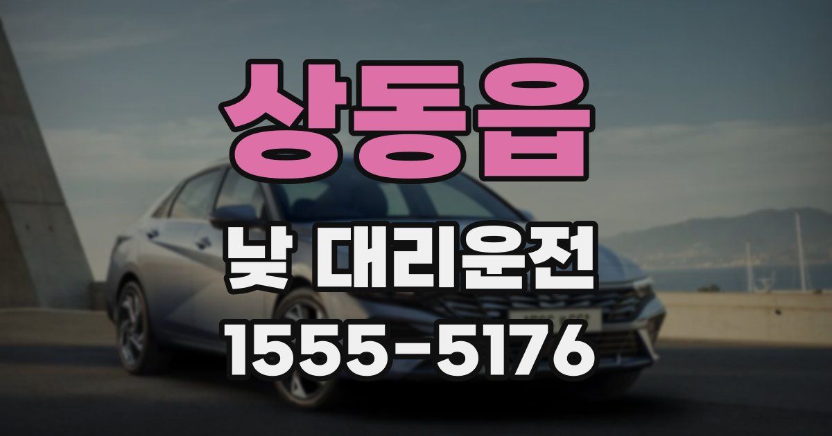 상동읍 낮 대리운전