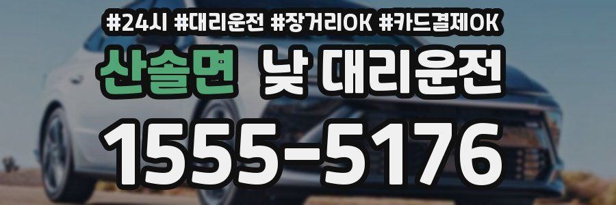 산솔면 낮 대리운전