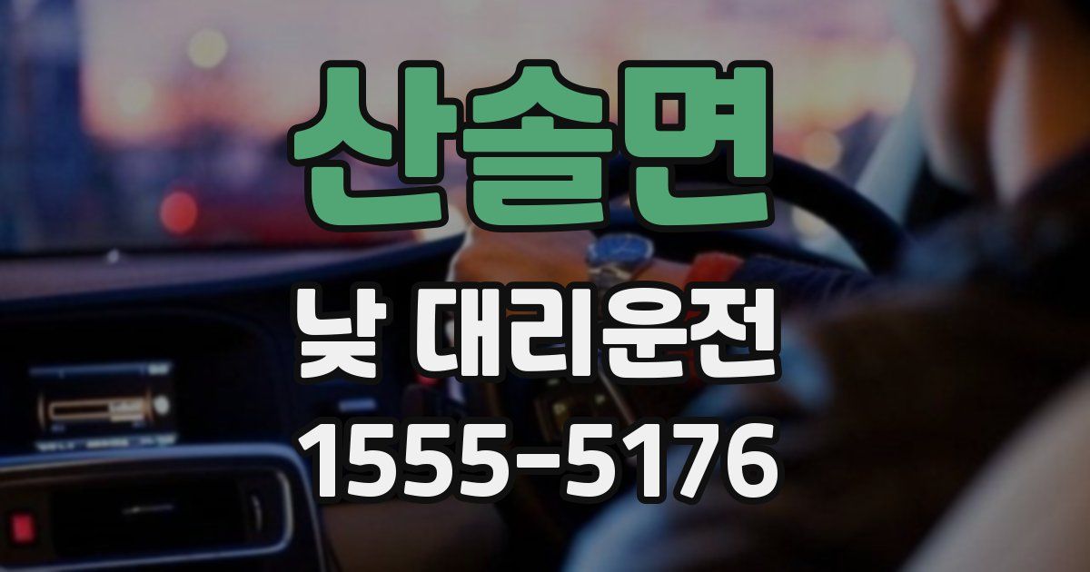 산솔면 낮 대리운전