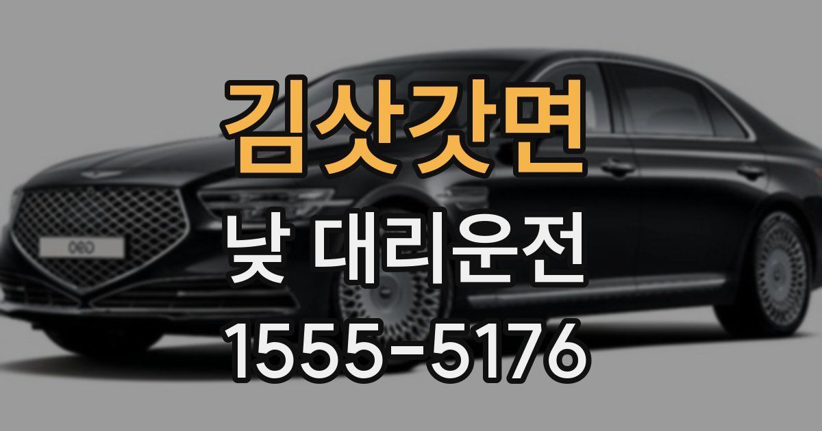 김삿갓면 낮 대리운전