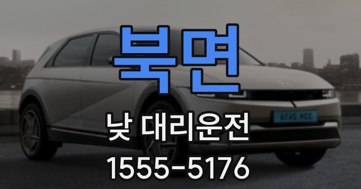 북면 낮 대리운전