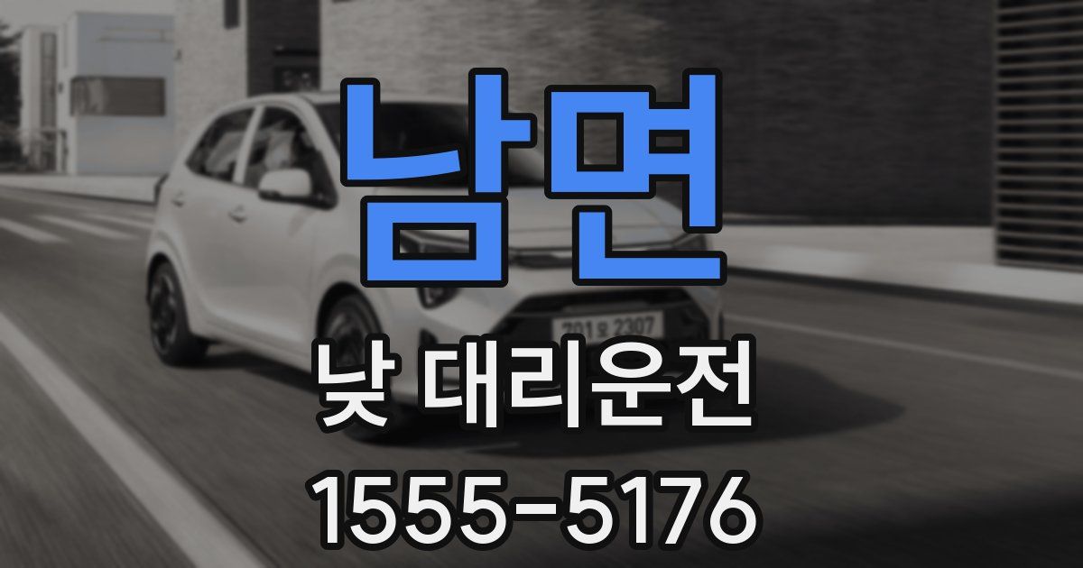 남면 낮 대리운전
