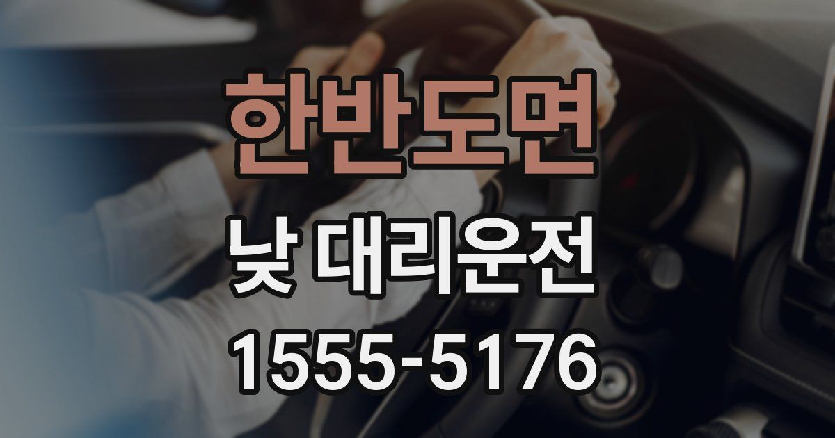 한반도면 낮 대리운전