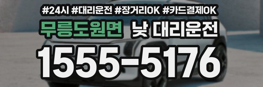 무릉도원면 낮 대리운전