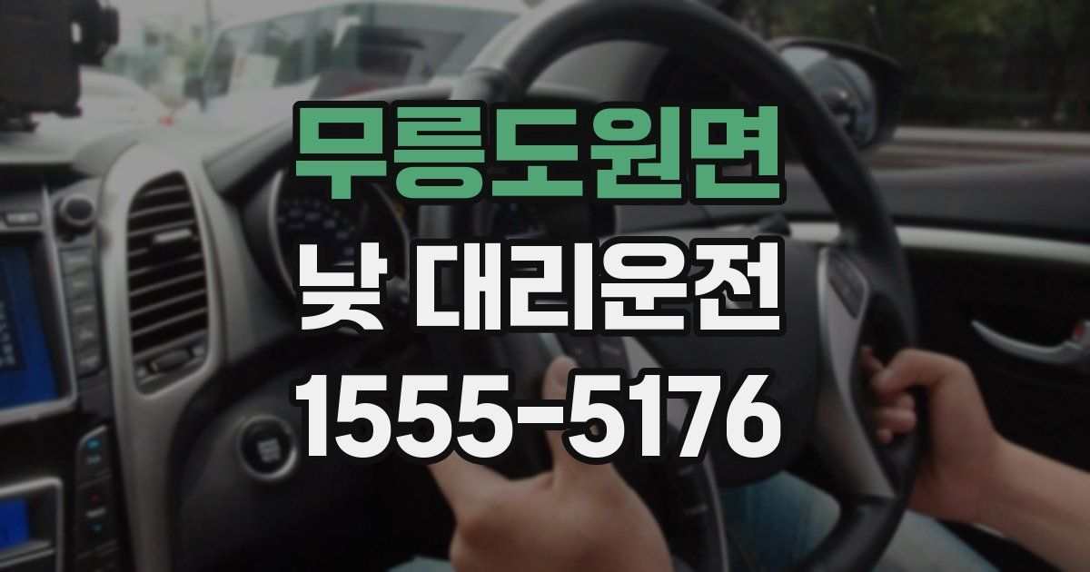 무릉도원면 낮 대리운전