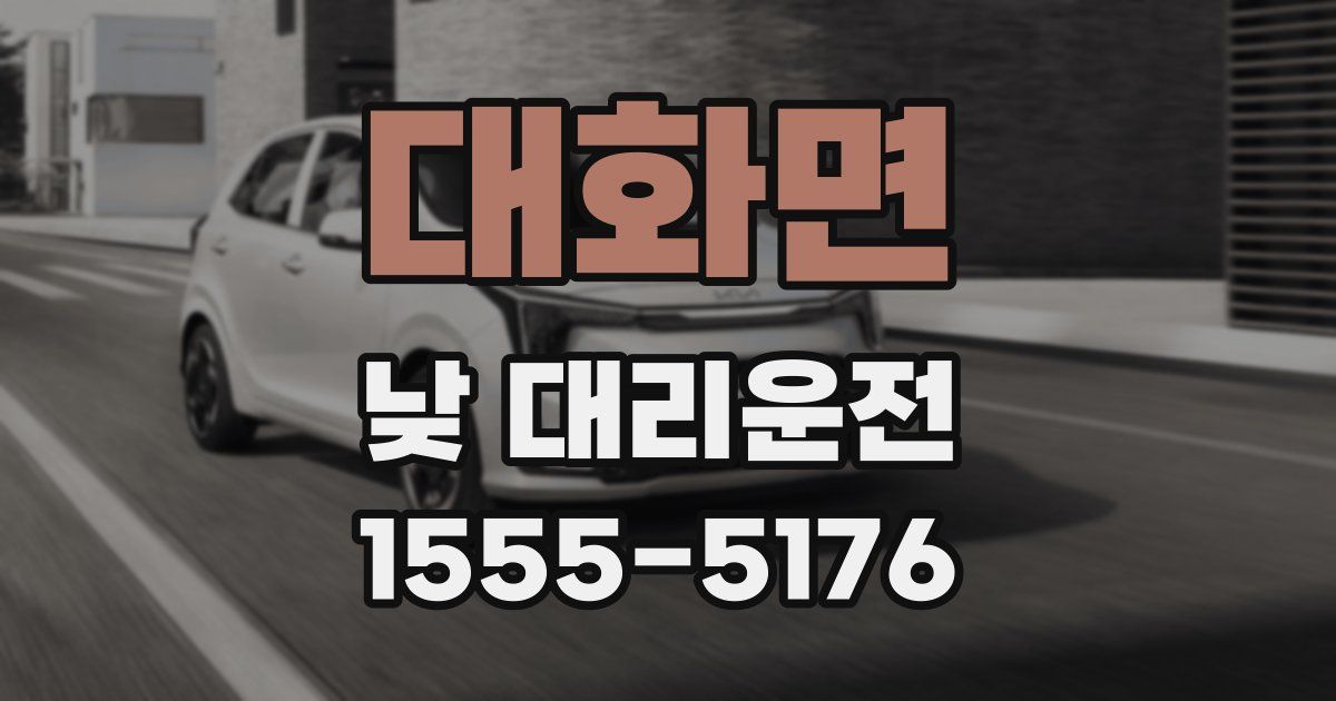 대화면 낮 대리운전