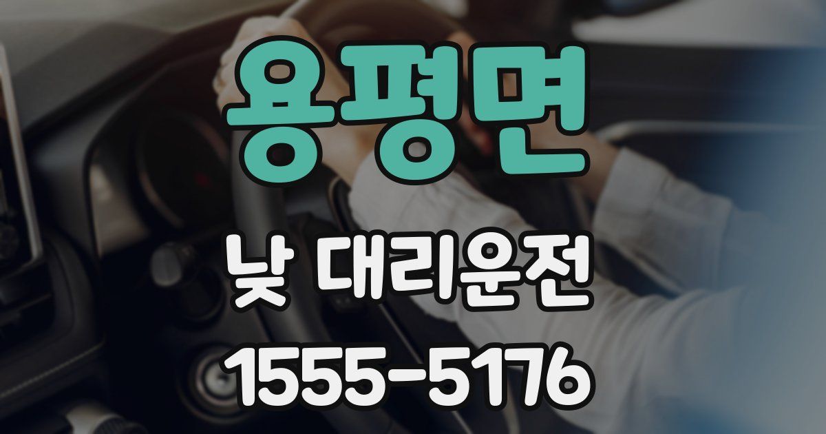 용평면 낮 대리운전