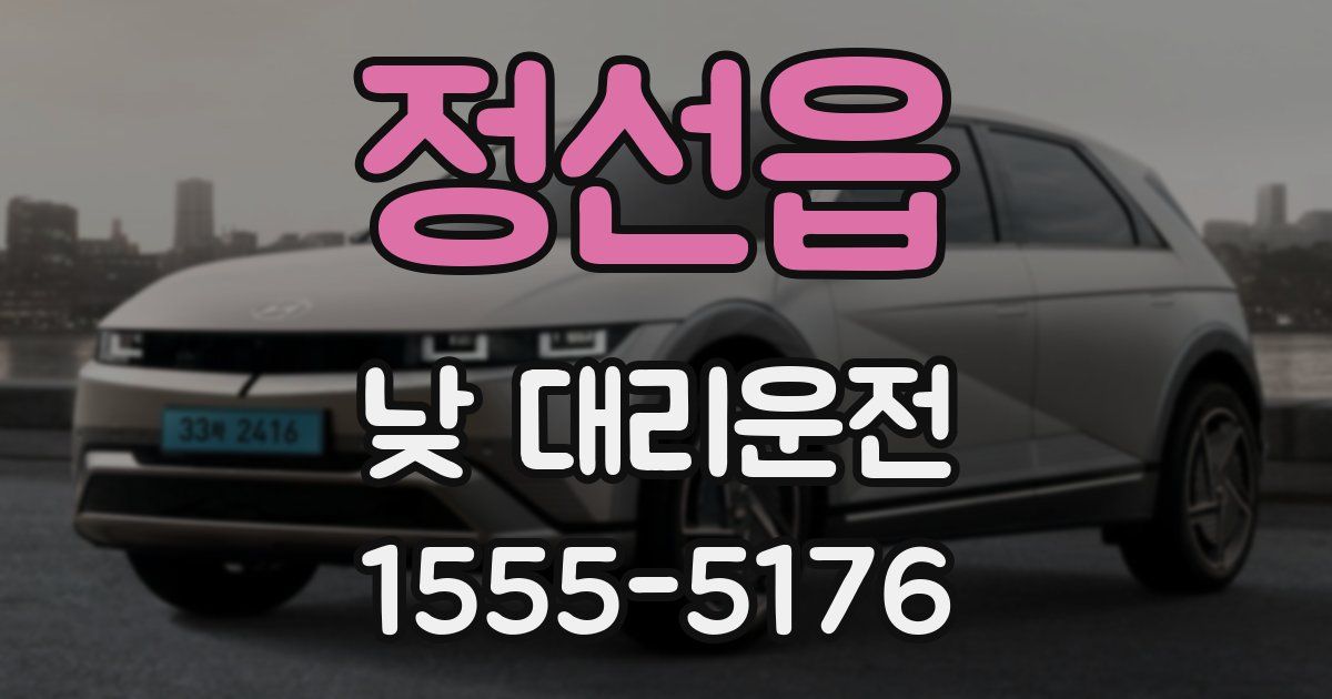 정선읍 낮 대리운전