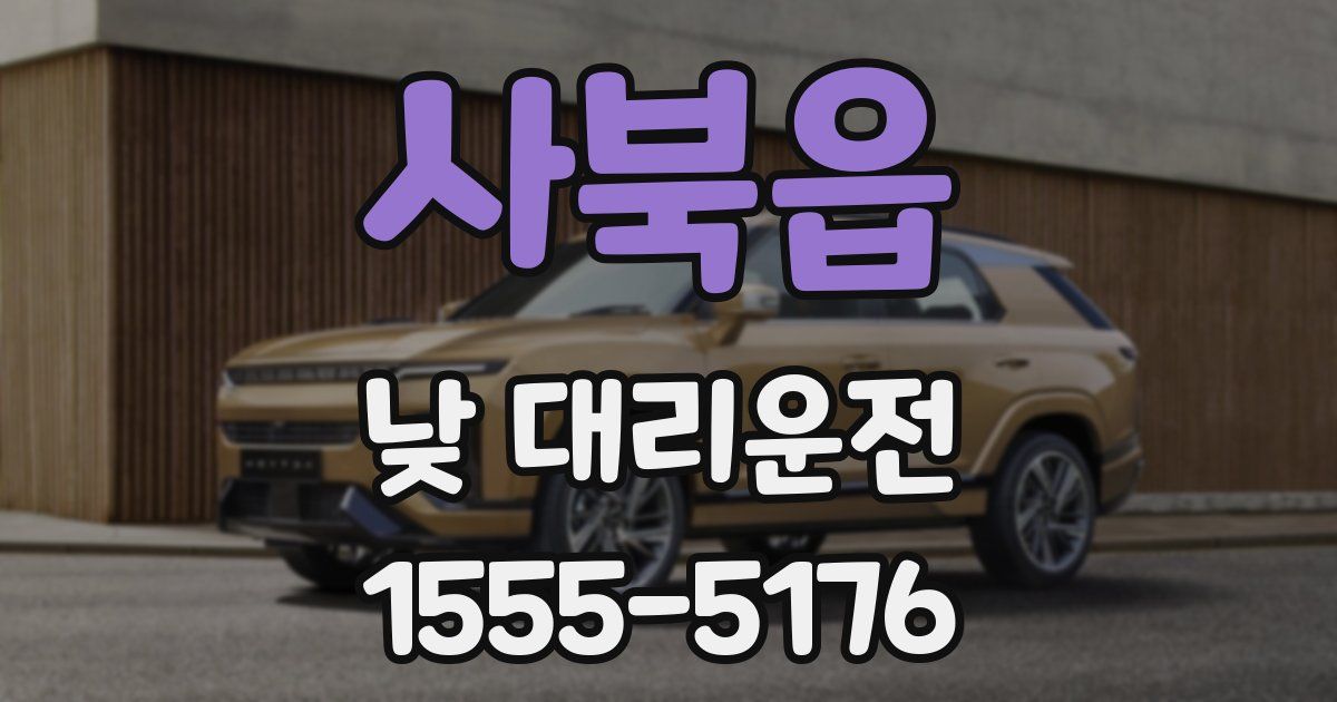 사북읍 낮 대리운전
